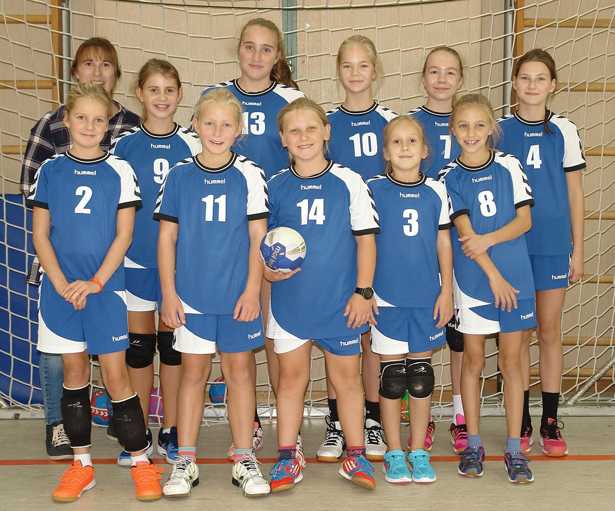HC-Sulzbach-WJD-2017.jpg